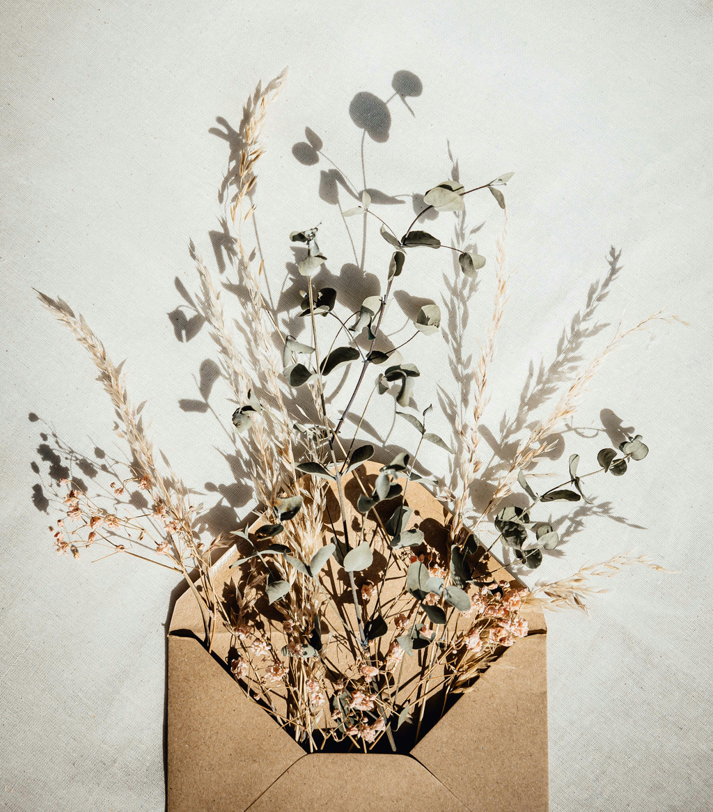 A Letter to Those Who Chose Meaningful Giving this Year