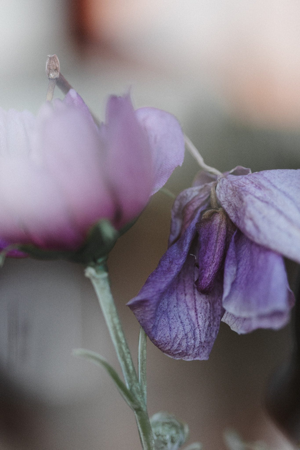 How flowers inspired our angels and socially conscious gifts