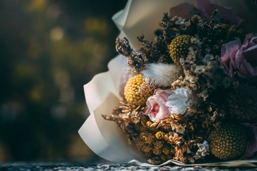 Dried vs Fresh Flowers: Which are better?