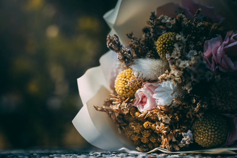 Dried vs Fresh Flowers: Which are better?
