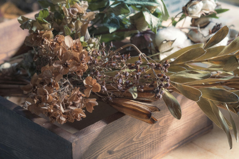 Dried vs Fresh Flowers: Which are better?