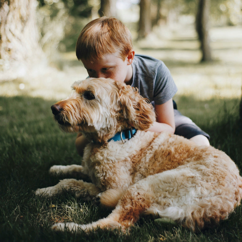 Child hugging a dog outdoors to represent animal welfare, companionship and care.